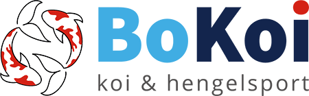 bokoi-logo-3